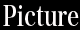 �s�N�`��