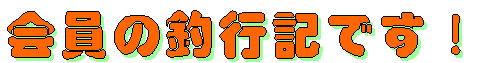 ����̒ލs�L�ł��I