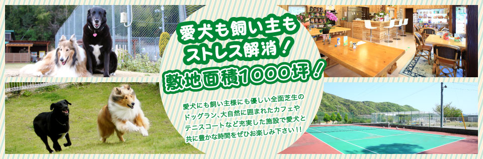 愛犬も飼い主もストレス解消