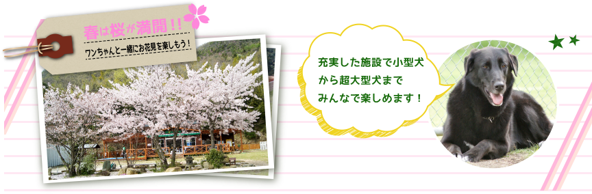 充実した施設で小型から超大型までみんなで楽しめます！