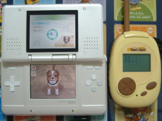 ���܂��āI���܂��āI