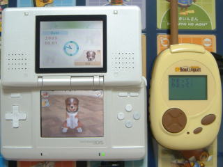 ���܂��āI���܂��āI