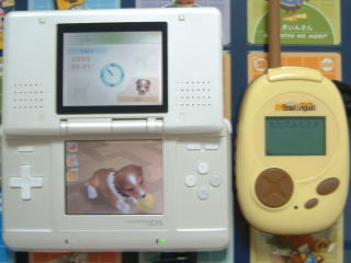 �����݂̂�����