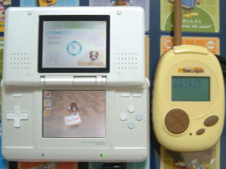 �C���C���C���킩���Ă�I