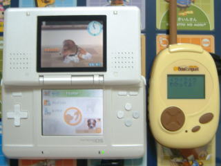 �C���C���C���킩���Ă�I