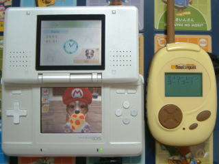 �T�C�R�[���b�c�S�[�I�S�[�I