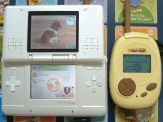 �������͂�������