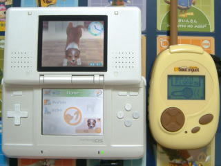 �������͂�������