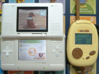 �������͂�������