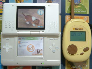 ���т����Ȃ��A�Ȃ�������