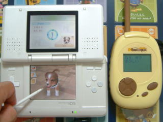 �˂��A�{�N�@���т���