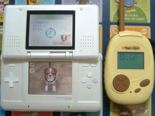 ������ł���Ȃ���₾�I