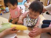 食育 0歳児