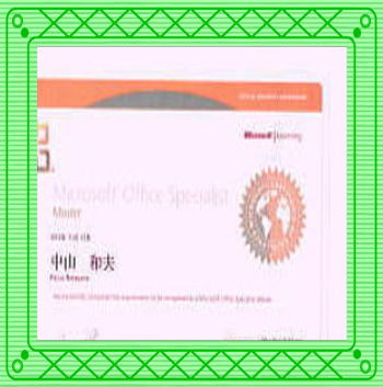 microsoft office 2010master