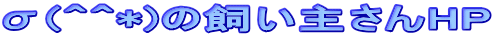 (OO*)̎傳HP
