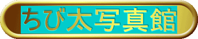 ёʐ^