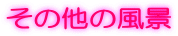���̑��̕��i