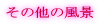 ���̑��̕��i